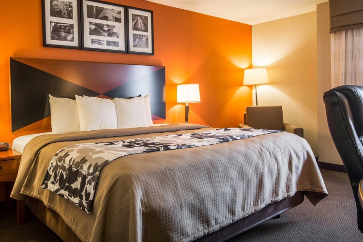 Standard Double room