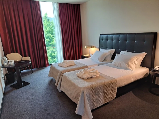 Standard Twin room with mountain view