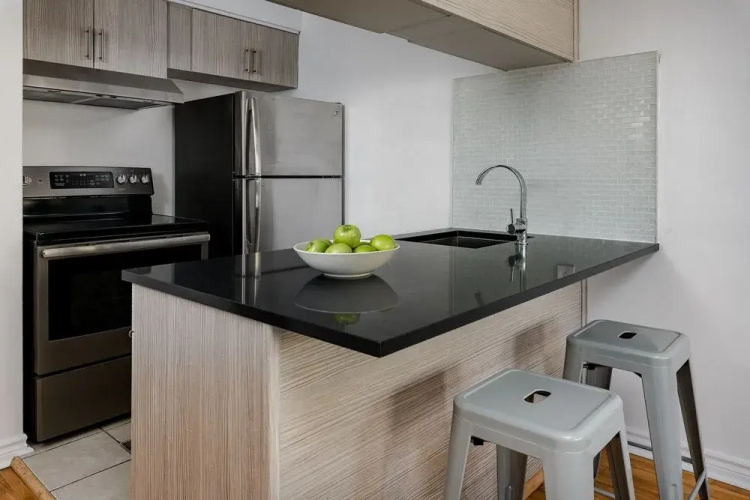 Chic 1BR in Plateau