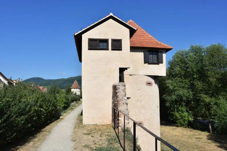 S'harzala Vert Bis