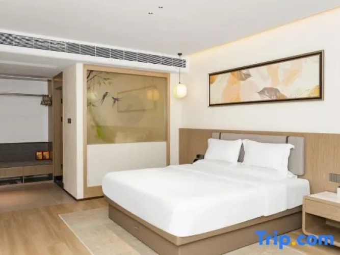 Single Suite