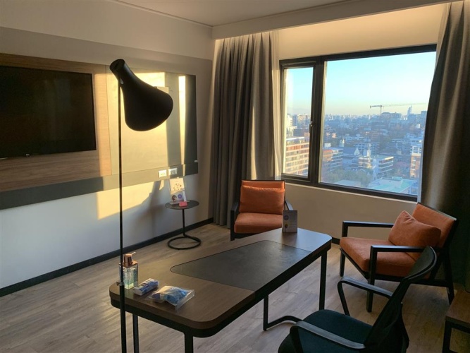 Novotel Santiago Providencia photo 7