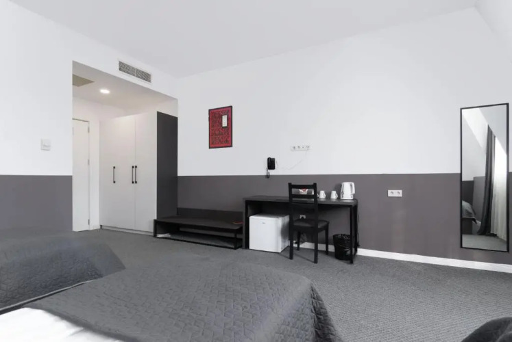 Фотография номера гостиницы Hotel Elesa