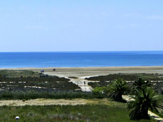 Casa Eucaliptus