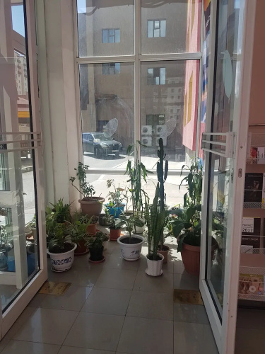 Naran Apartment