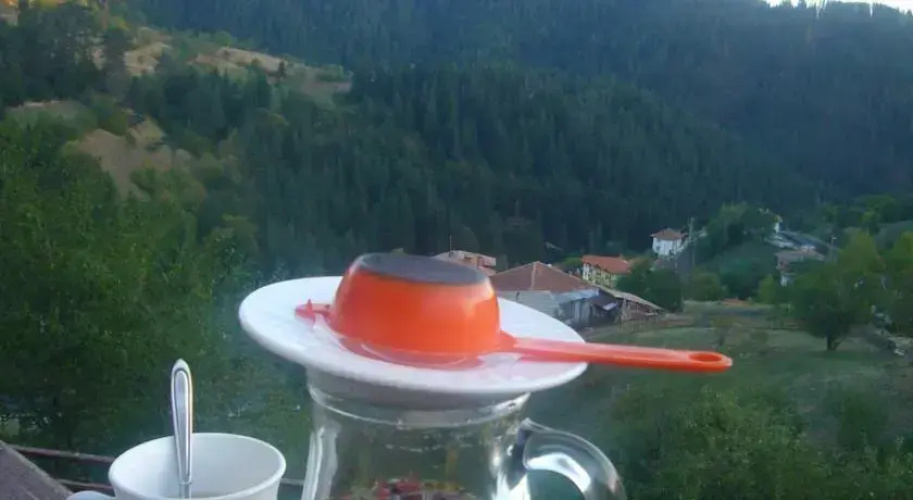 Momchil Unak Guest House