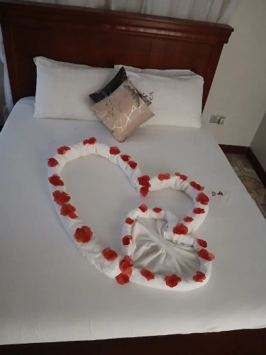 Economy Single room with park view