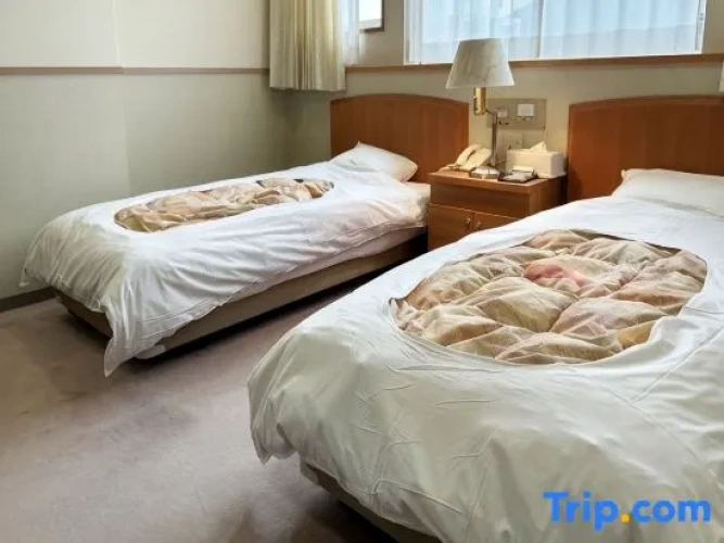Standard Twin room with mountain view
