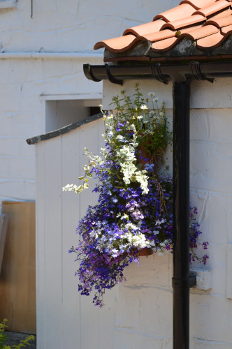 Orchard Lodge & Wolds Restaurant