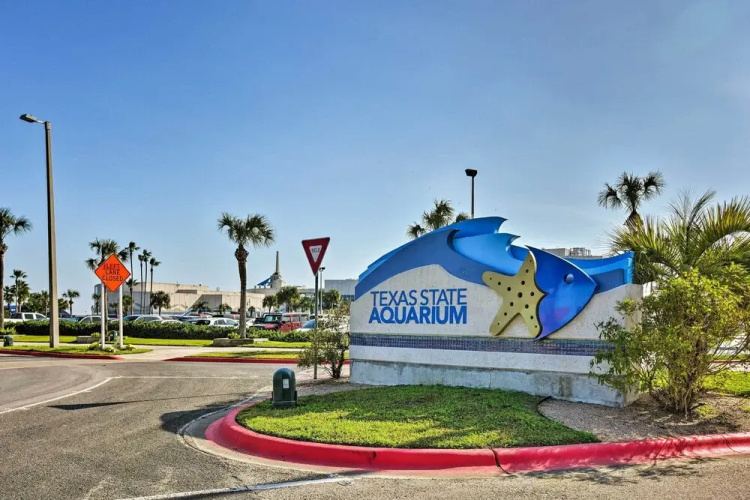 Corpus Christi Beachfront Condo w/ Pool Access!