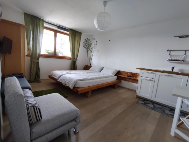 Standard Double room with mountain view