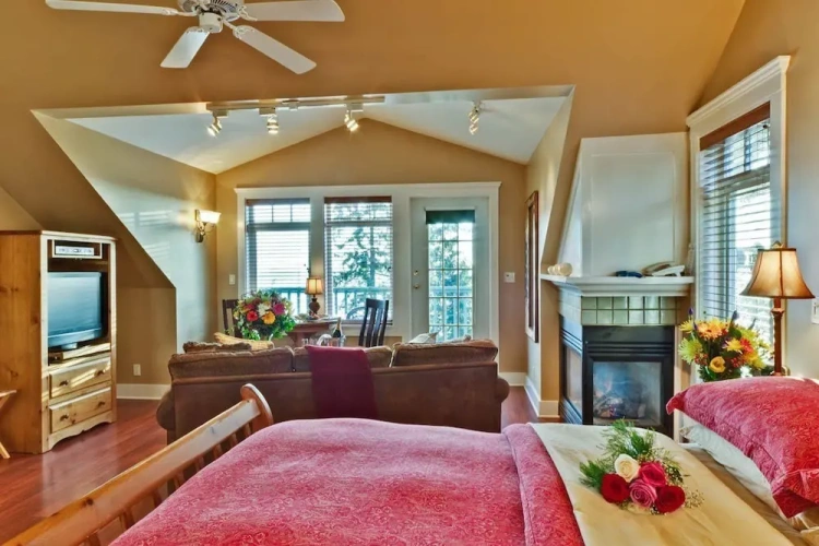 Standard Penthouse room