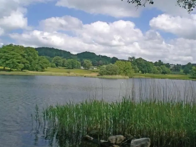 Cottage