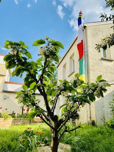 Superior Double room with garden view