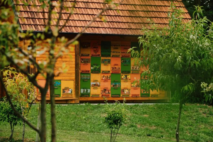 Homestead Drčar - Pukelca