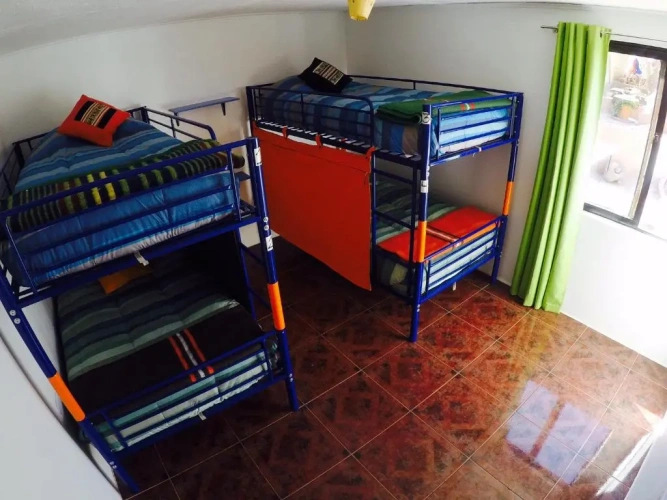 Bed in Dorm