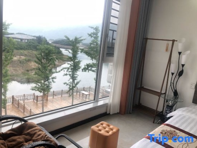 Standard Double room with lake view