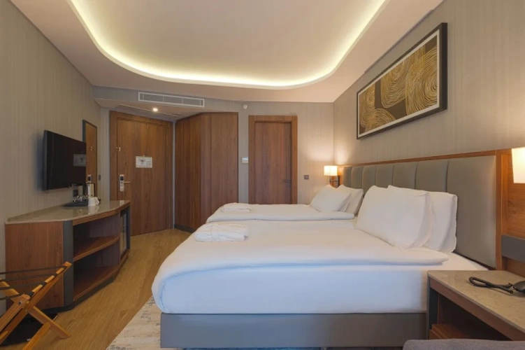 Standard Twin room with pool view