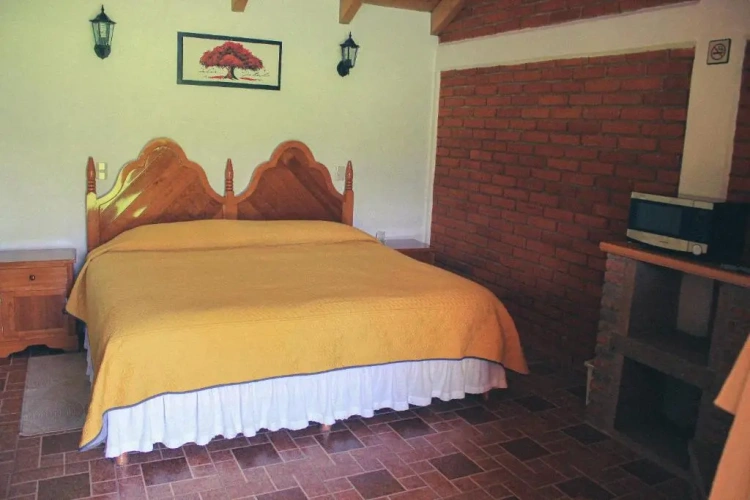 Standard Double room with mountain view