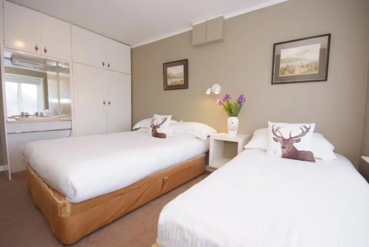 Standard Double room with garden view