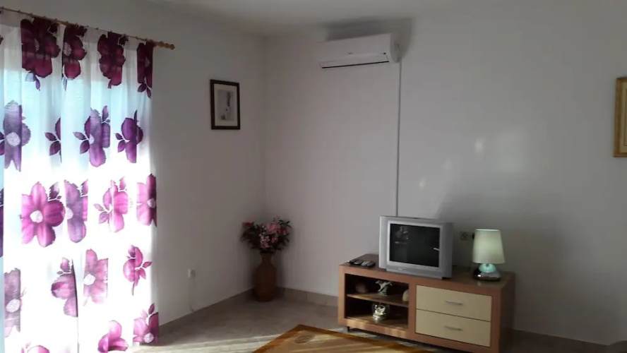 Apartment Branka