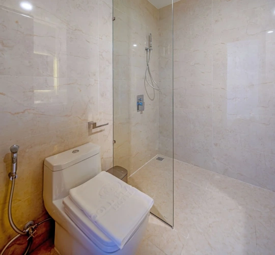 Deluxe Double room with balcony and with river view