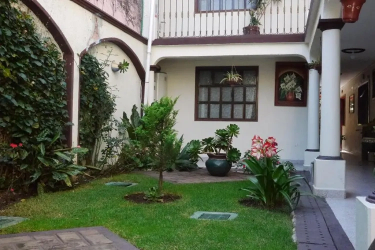 Standard Family room with garden view