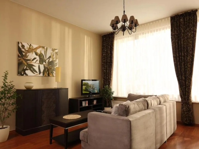 Standard Apartment with balcony and with view