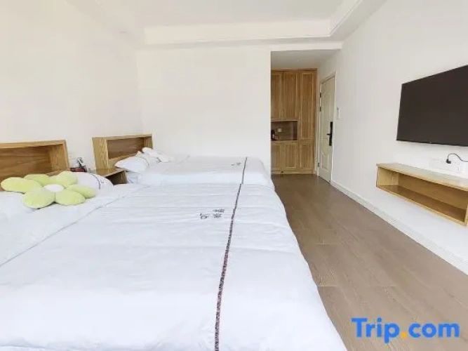 Standard Double Family room with balcony and with mountain view