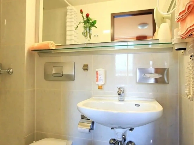 Standard Double room with garden view