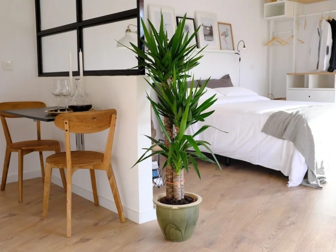 Superior Double Apartment with city view