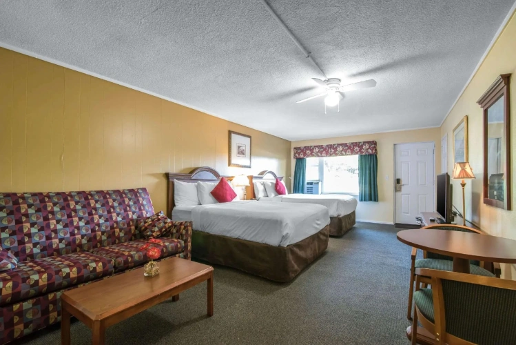 Quadruple Suite