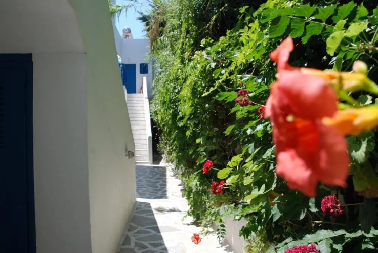 2 Bedrooms Apartment with sea view