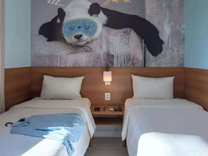 Standard Single room