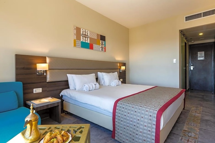 Classic room with city view