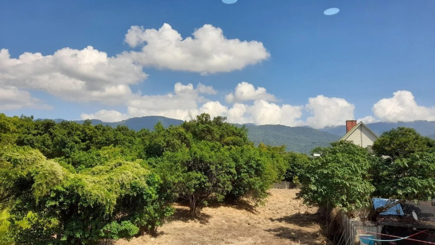 Woolywo Homestay