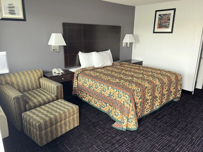 1 Bedroom Luxury Suite with city view