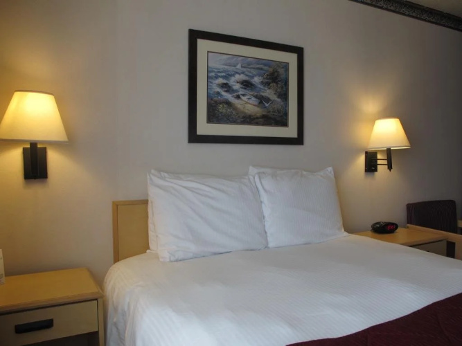 The Hotel Garibaldi
