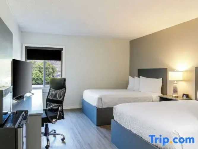 Quadruple Suite