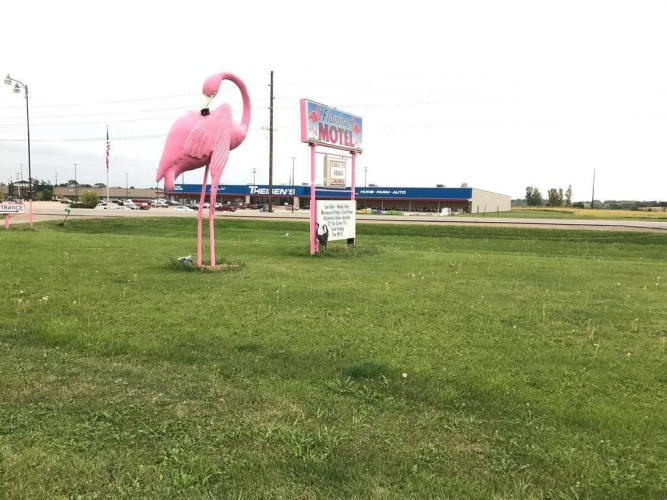 Flamingo Motel