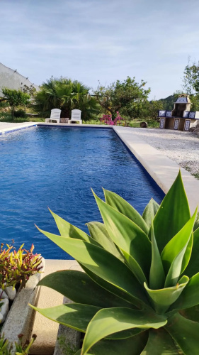 Finca Barahona
