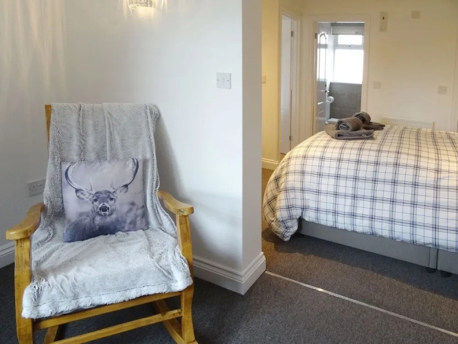 Lilys Pad