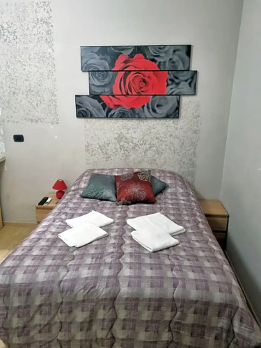 Red Rose