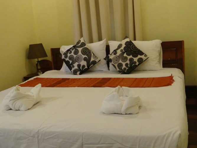 Deluxe Double room with balcony and with river view