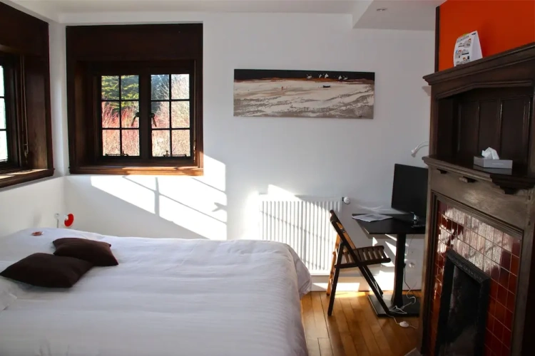 Standard Double room with garden view