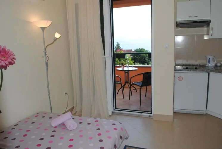 Studio with balcony and with view
