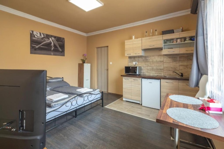 Deluxe Apartment