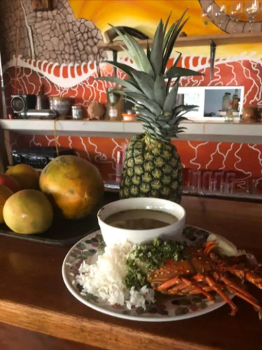 Safari Surf Hostal