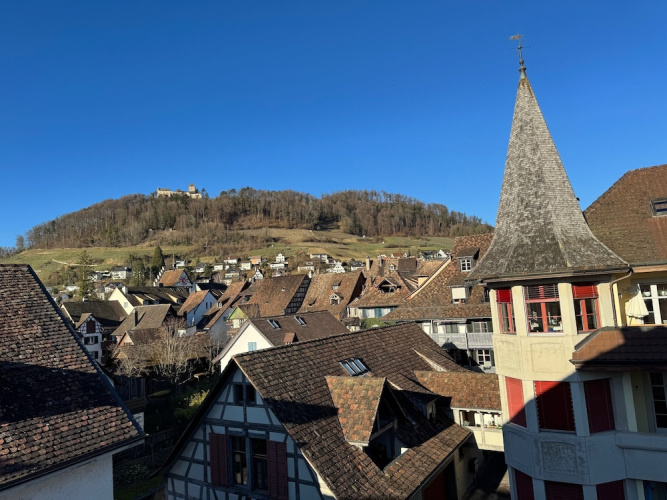 Rheingerbe - Öhningen