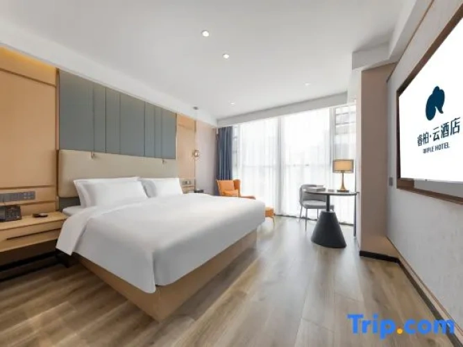 Standard Double room with city view